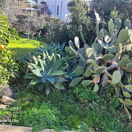 הוילה Sogni Nel Blu פאביננה מראה חיצוני תמונה