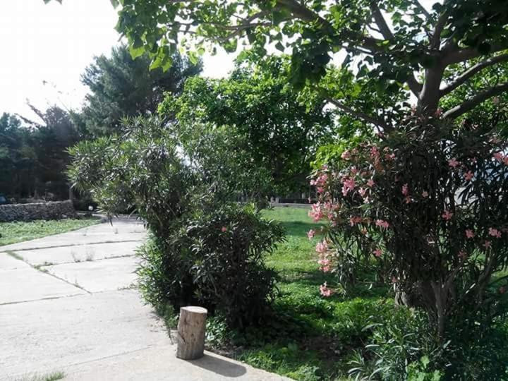 הוילה Sogni Nel Blu פאביננה מראה חיצוני תמונה