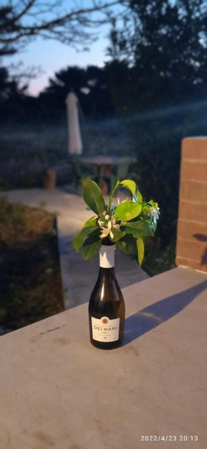 הוילה Sogni Nel Blu פאביננה מראה חיצוני תמונה