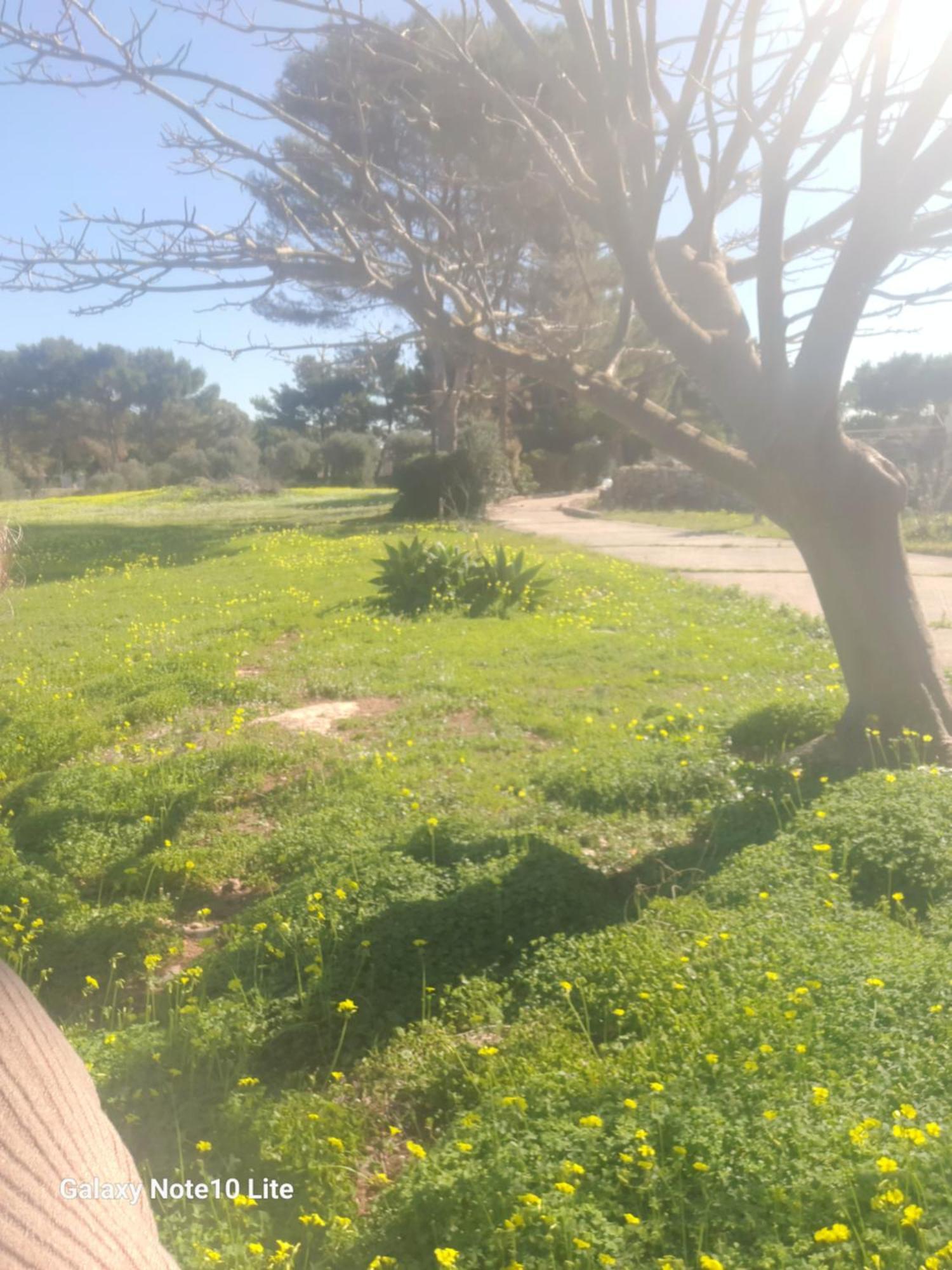 הוילה Sogni Nel Blu פאביננה מראה חיצוני תמונה