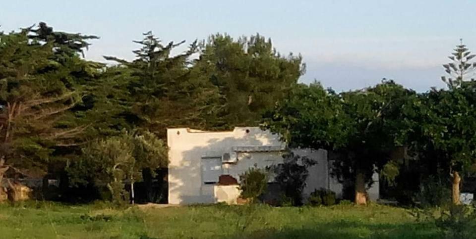 הוילה Sogni Nel Blu פאביננה מראה חיצוני תמונה